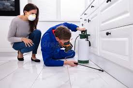 Best Residential Pest Control  in Ridge, NY